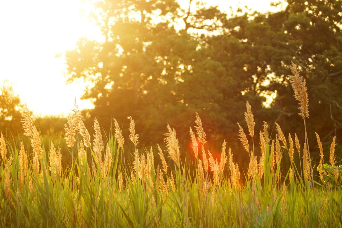 d-r-u7ldh tgH3s-unsplash d-r-u7ldh tgH3s-unsplash