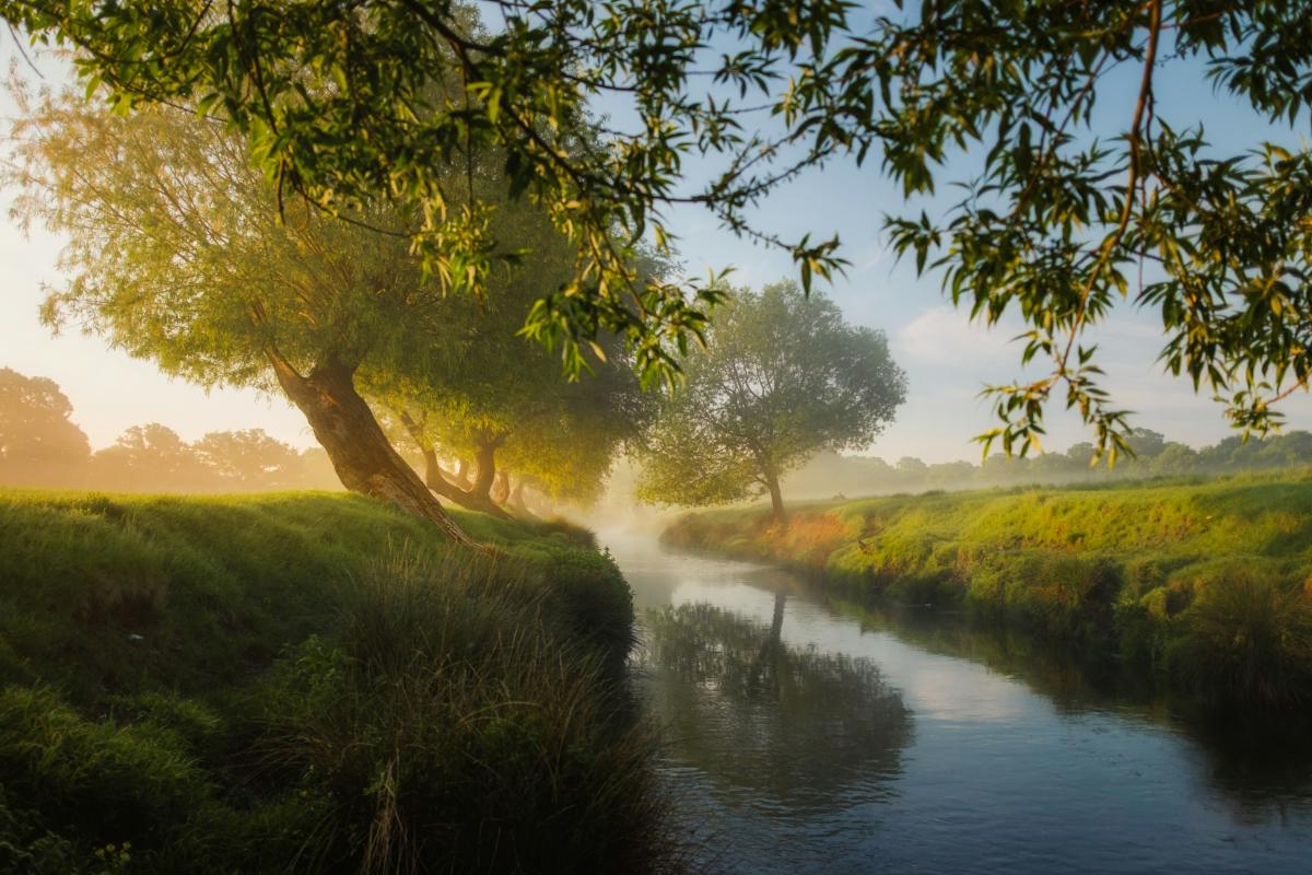 simon-wilkes-jlVEj8IDPQc-unsplash simon-wilkes-jlVEj8IDPQc-unsplash
